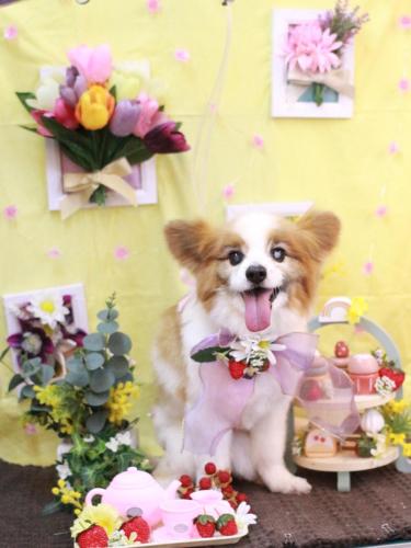 20230307ラックくん